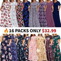 16PACKS(D)$32.99